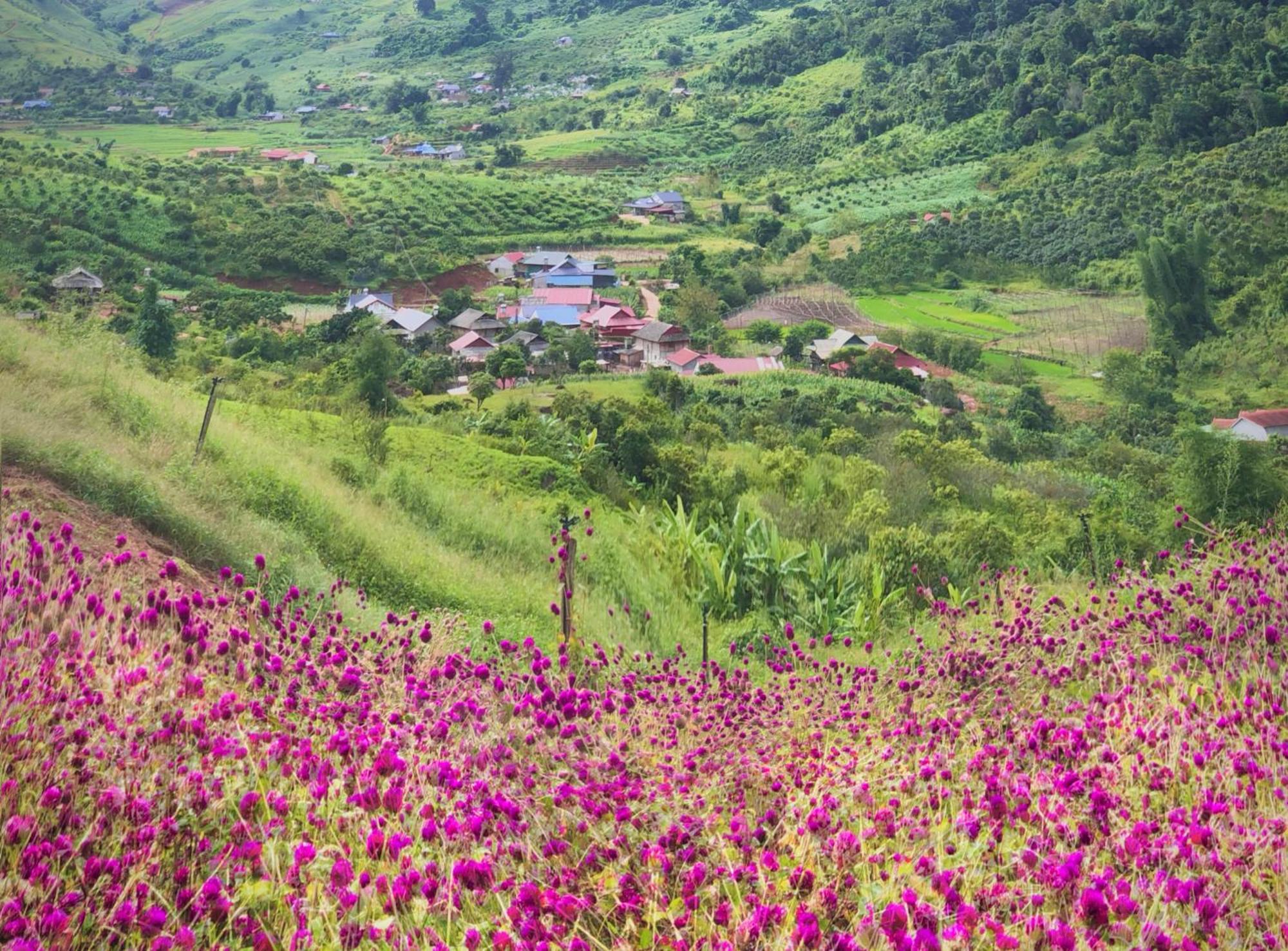 Muong Sang Farmstay Moc Chau Buitenkant foto